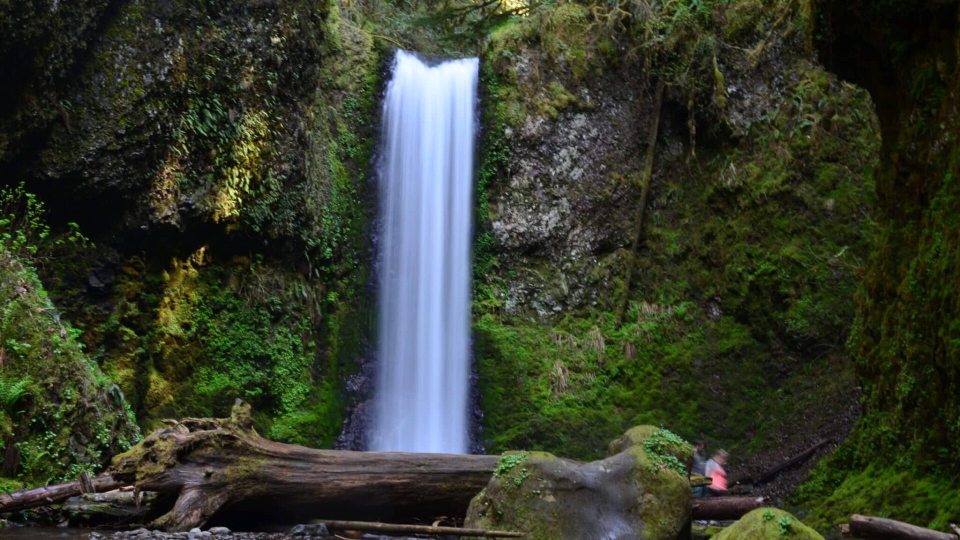 Weisendanger Falls in the Columbia River Gorge