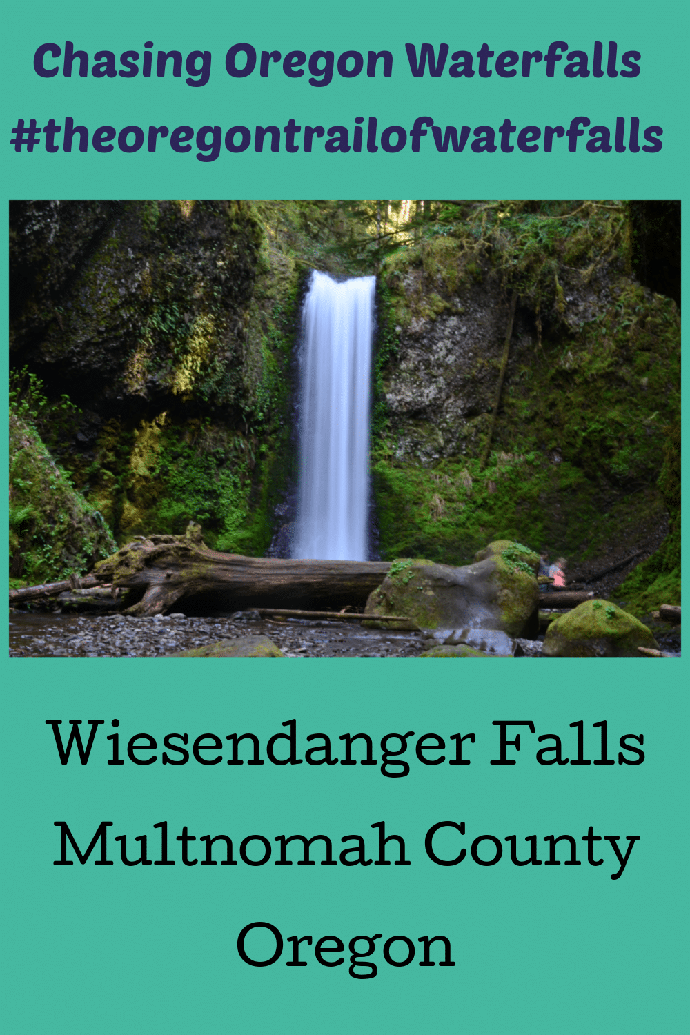 Wiesendanger Falls pinterest Pin