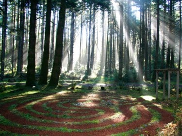 sun rays shining the WildSpring Guest Habitat labyrinth