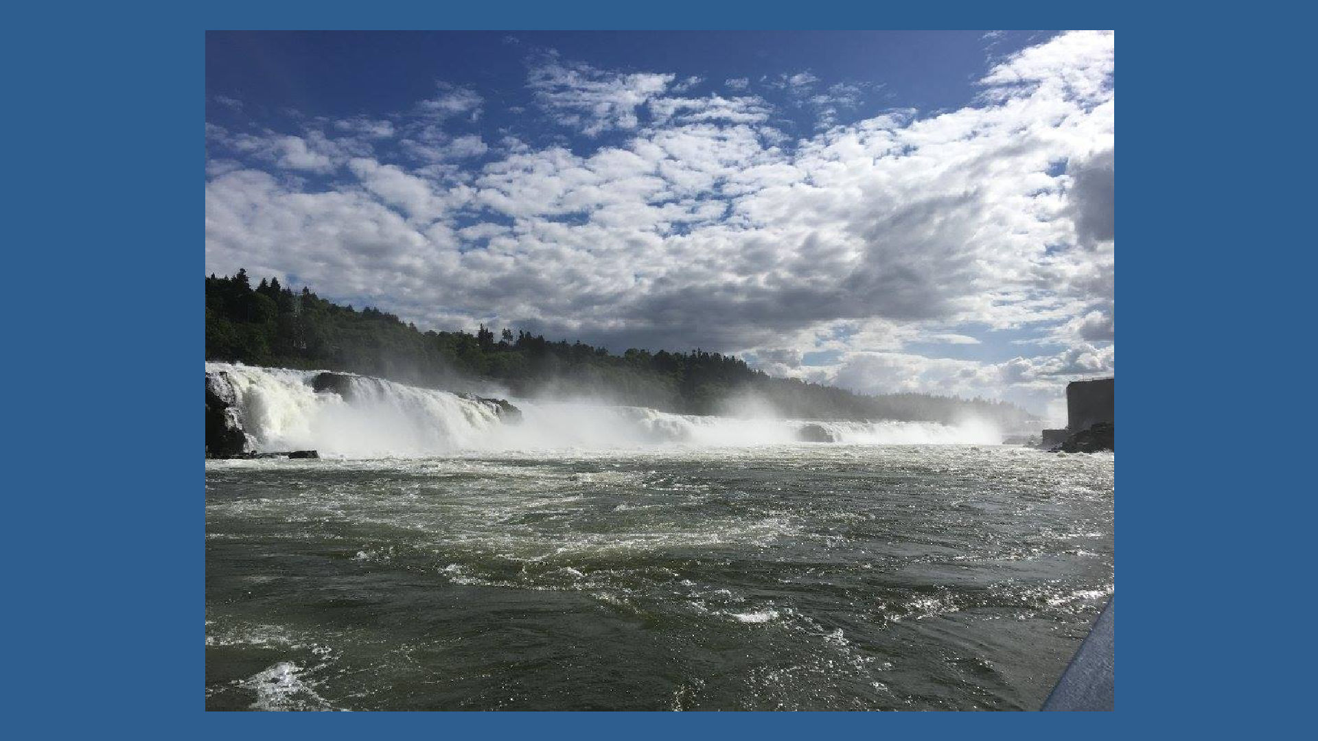 Willamette Falls Banner