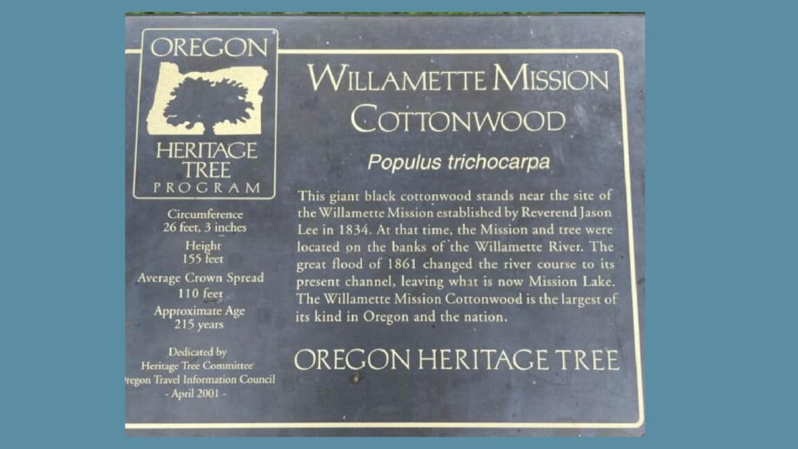 Willamette Mission Cottonwood Heritage tree plaque