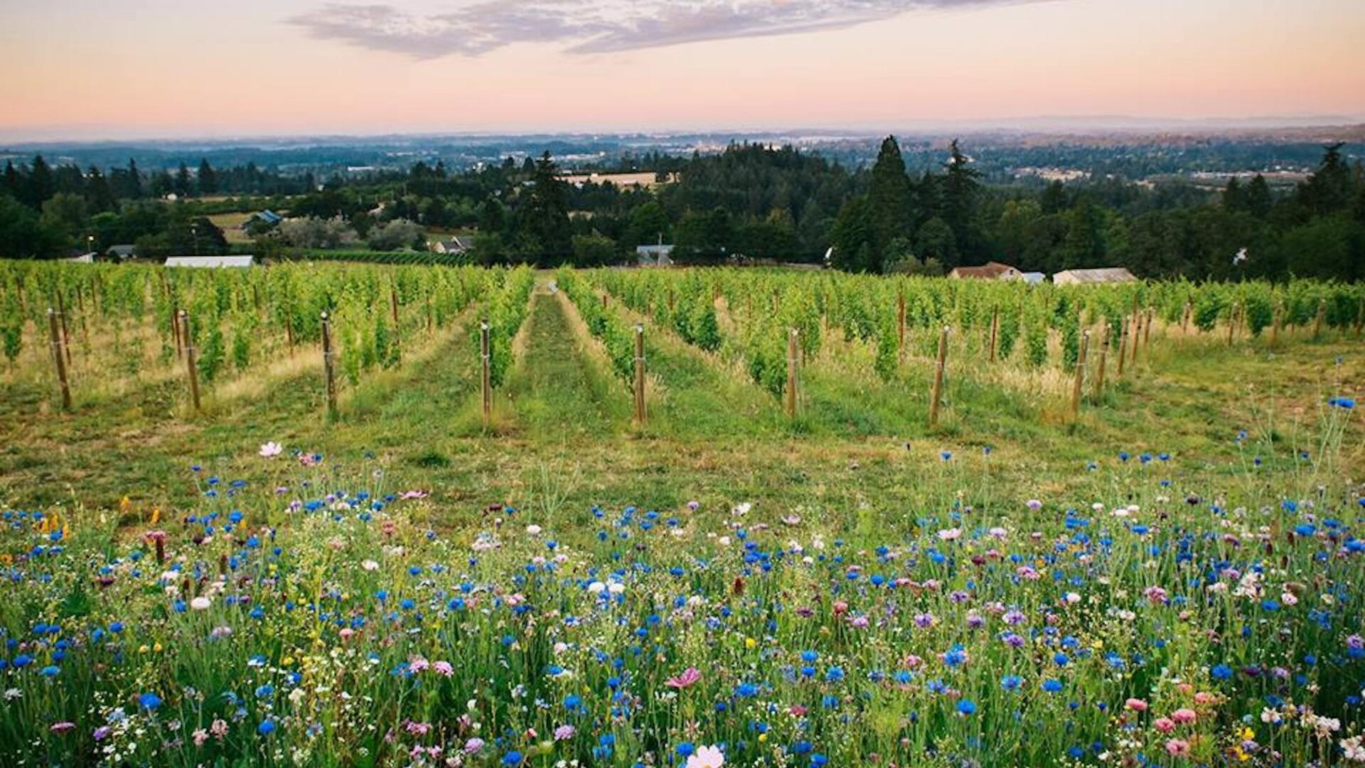 Willamette Valley in Spring