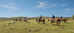 horses and riders riding across the green grass prarie