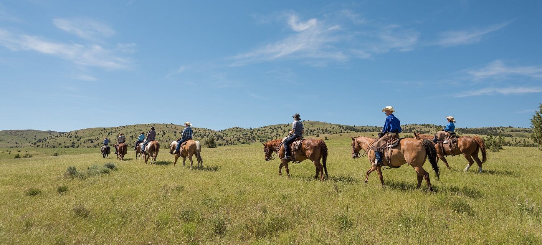 horses and riders riding across the prairie