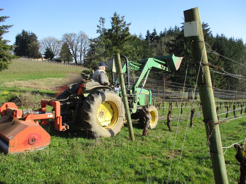 Ralph Stein on his tractor in the Yamhill Vineyardss