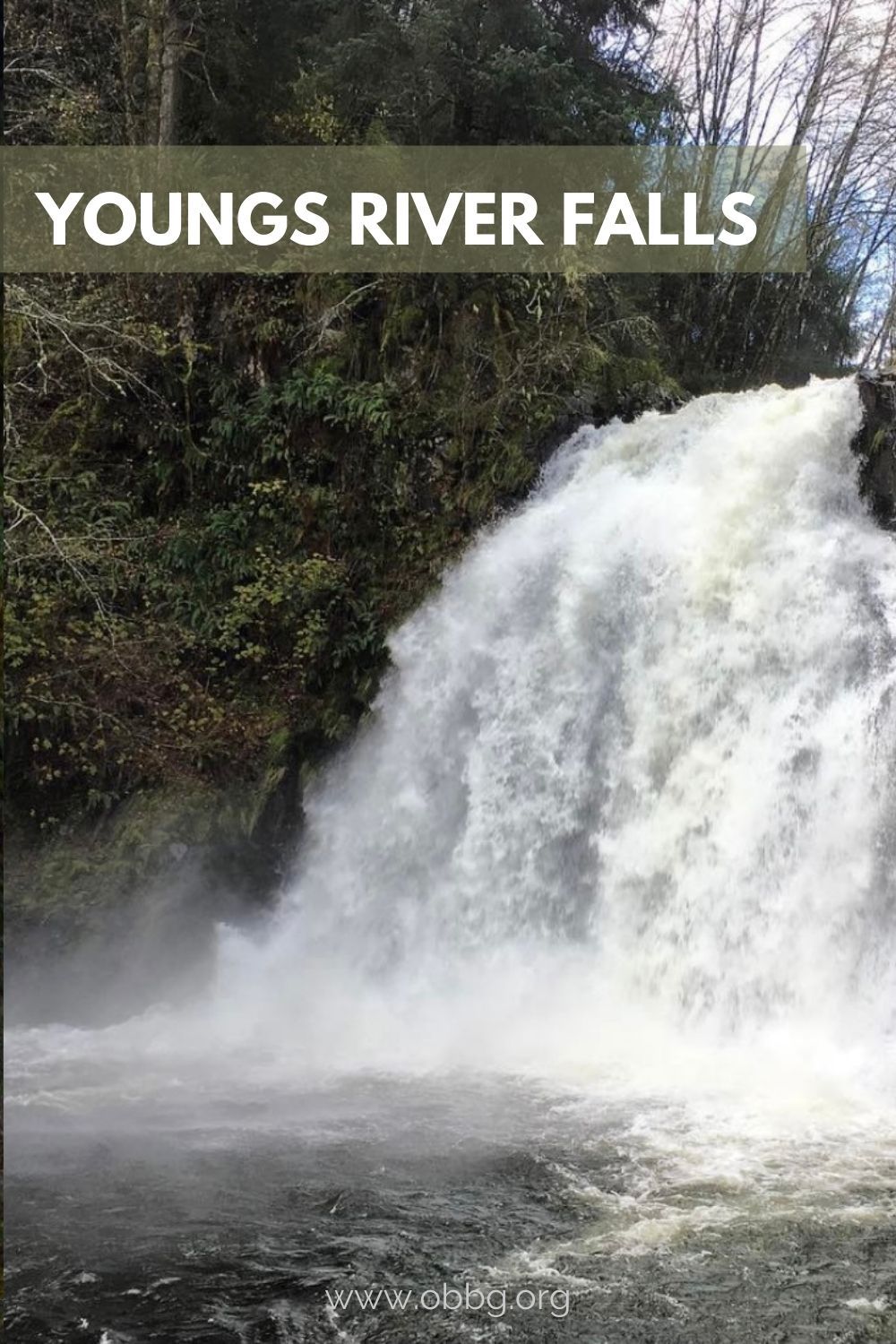 Youngs River Falls pinterest pin