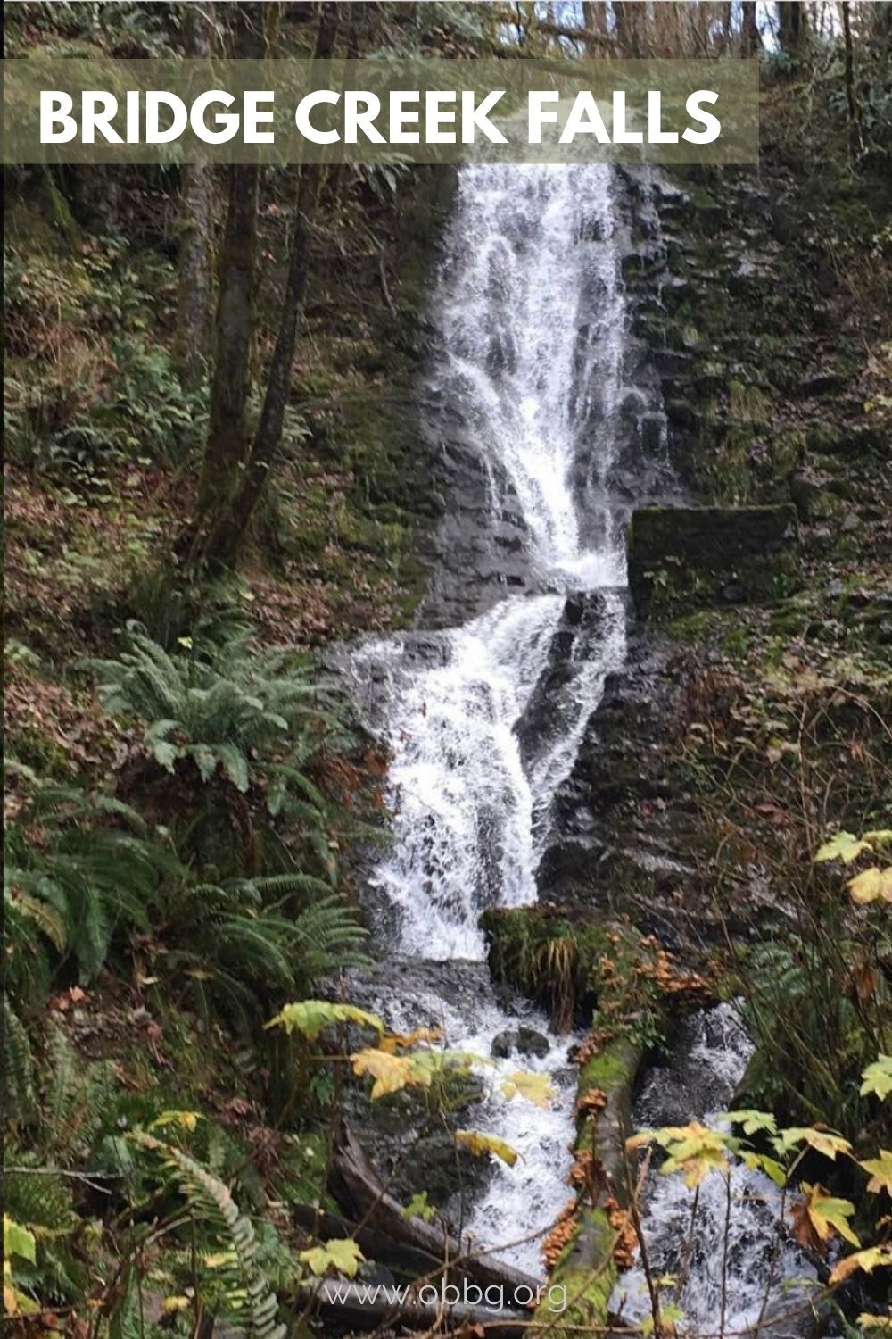 Bridge Creek Falls pinterest pins