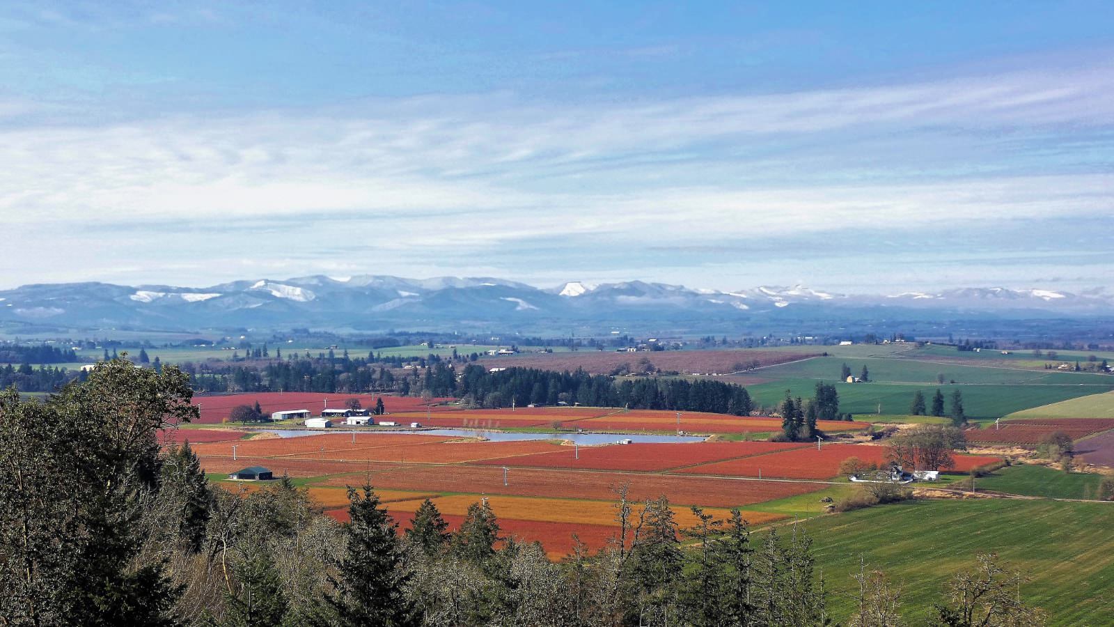 Aerial view of farm land with large mountain range covered in snow in the background