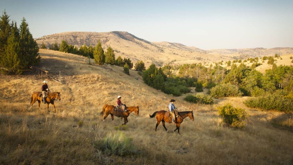 Three people on brown horses walking over a light brown grass hill with other hills in the background