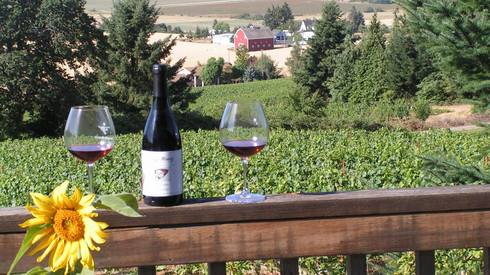 Close up view of a bottle of red wine and two glasses sitting on a wooden ledge with vineyard in the background