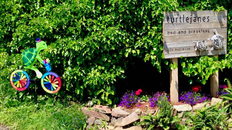 Close up view of turtlejanes bed and breakfast wooden sign surrounded by purple and pink flowers with greenery in the background
