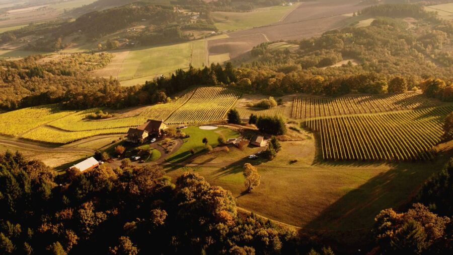 Aerial view of property surrounded by vineyards and many trees