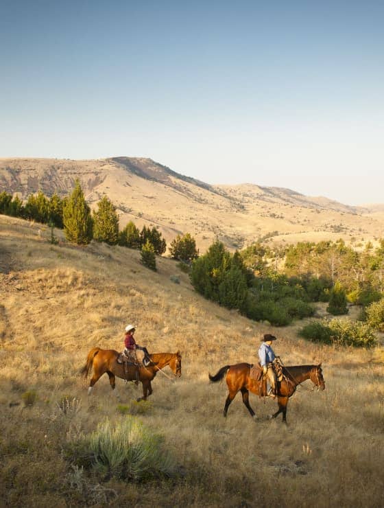 Two people on brown horses walking over a light brown grass hill with other hills in the background