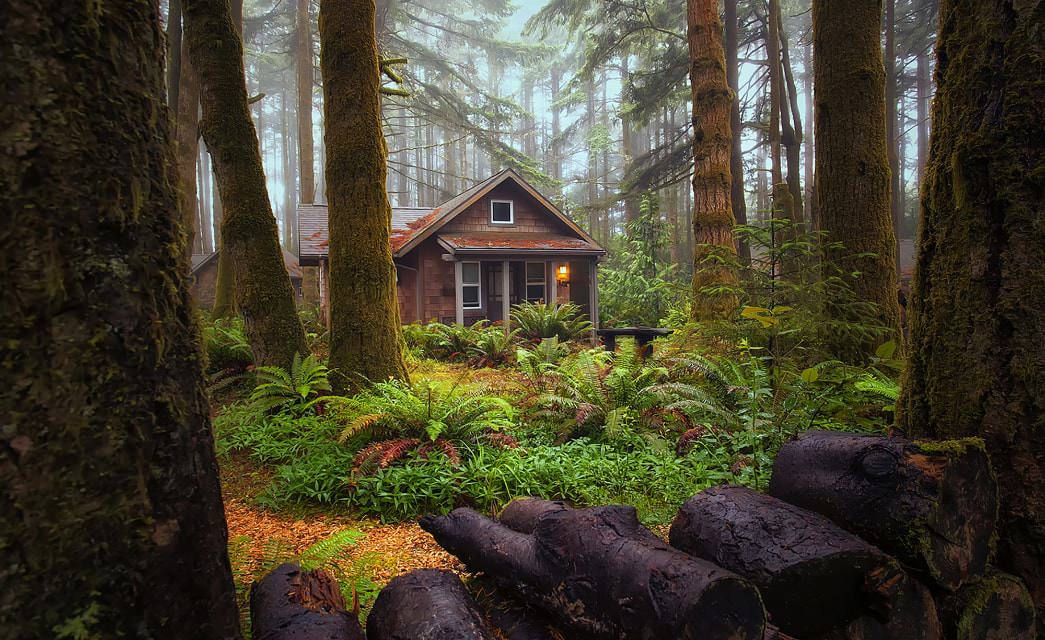 Exterior view of property surrounded by lush green vegetation and very large trees blocking most of the sun