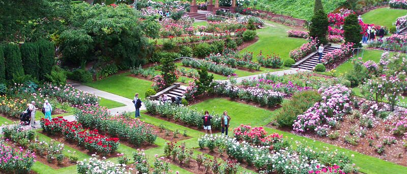 Oregon international Rose Garden aerial view