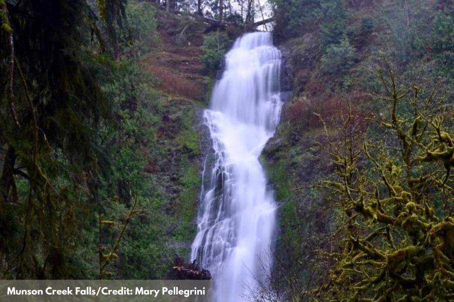 munson creek falls in Oregon's Coast Range