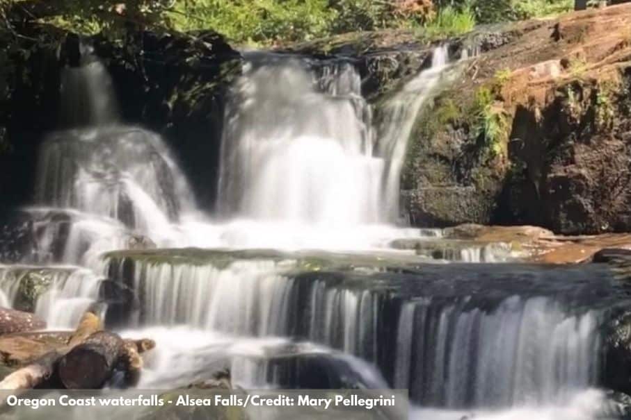 Alsea Falls in the sun