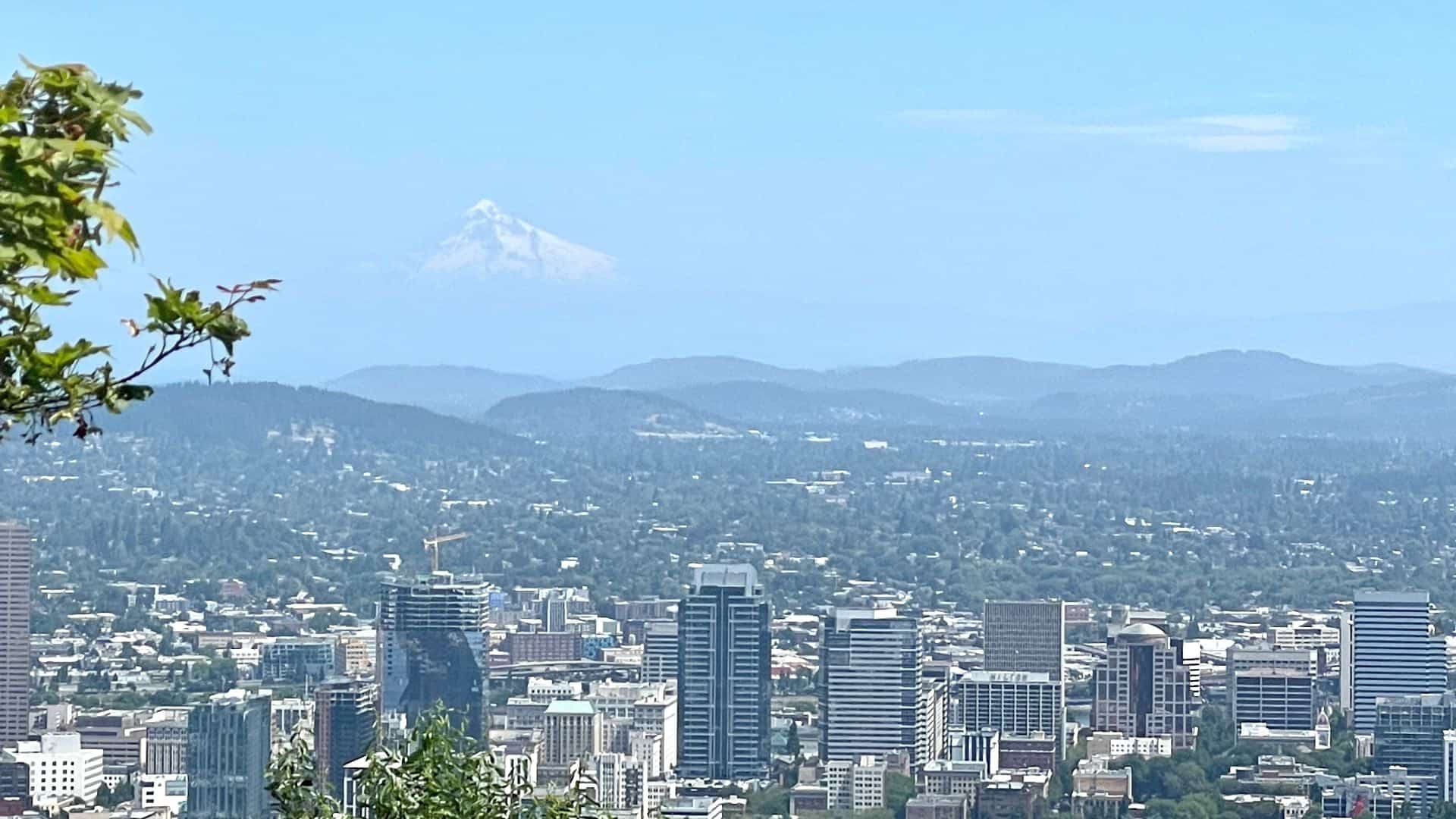 View of a large city next to hills covered in green trees and snow covered mountain in the background