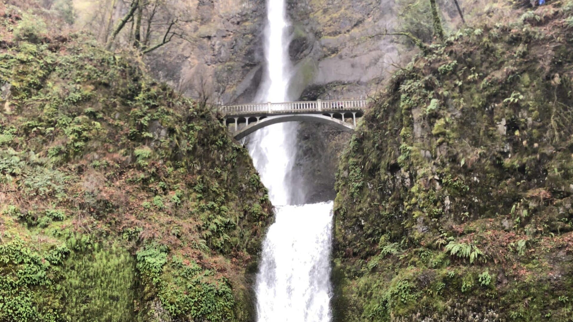 Multnomah Falls and the Benson Bridge