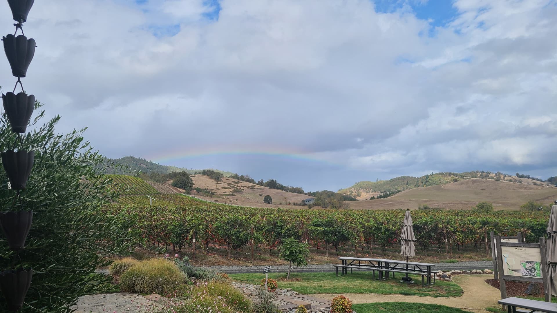 Rolling hills of grape vines at a winery with a small rainbow in the cloudy sky