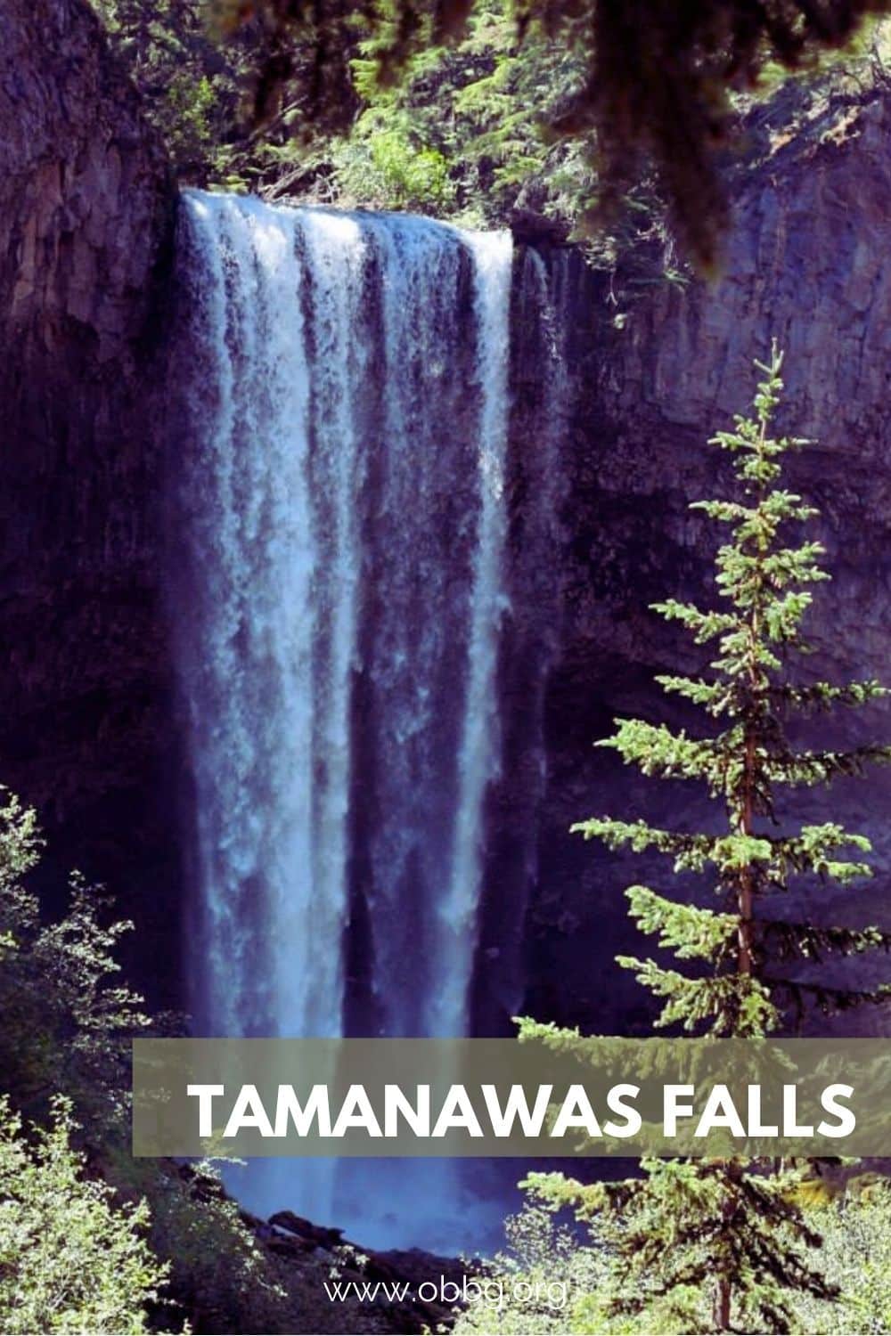 Tamanawas Falls Pin
