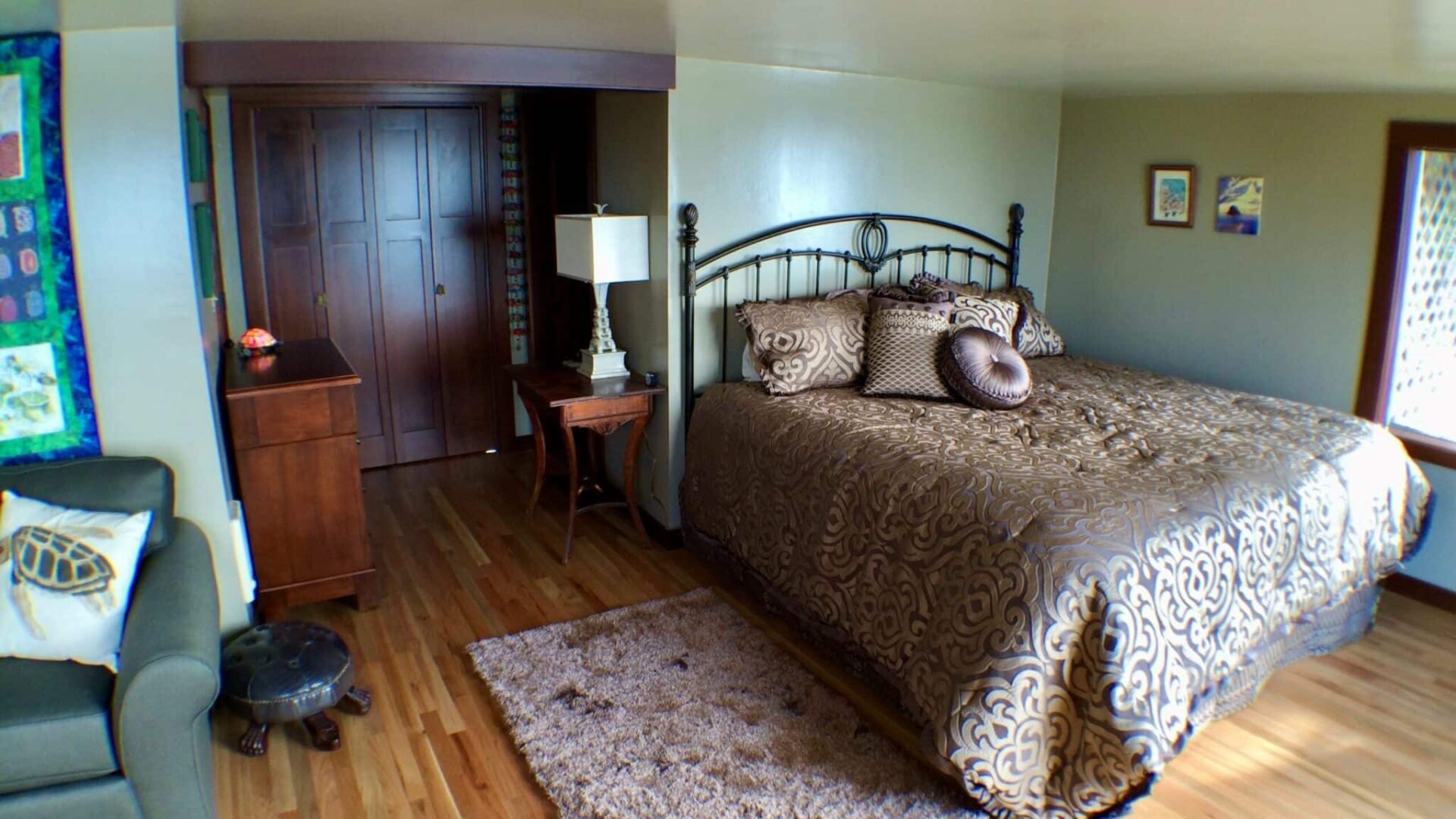 turtlejane suite