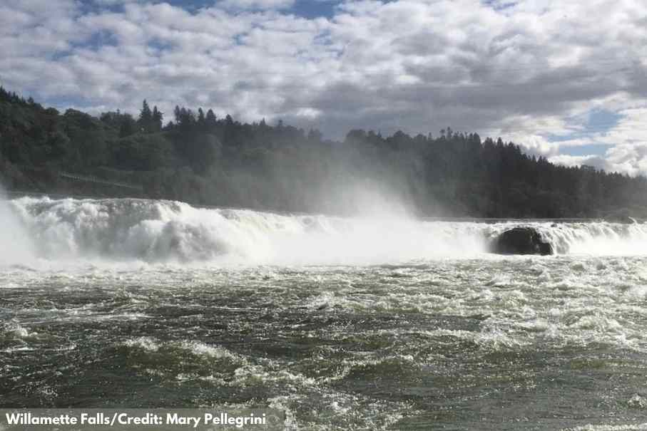 willamette falls photo taken from a jet boat in the Willamette River